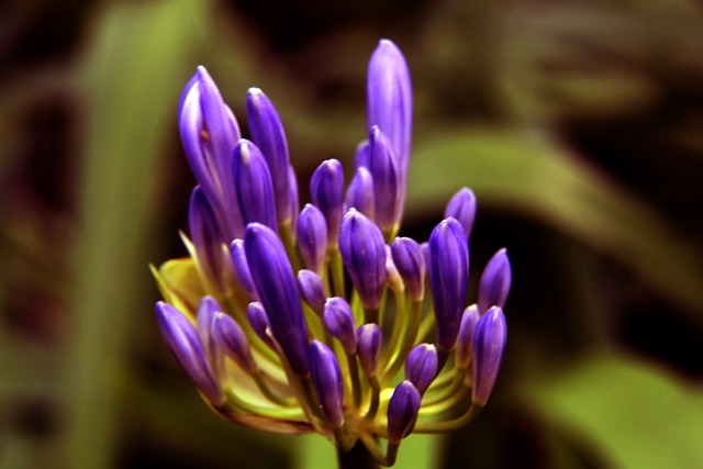 篇章节