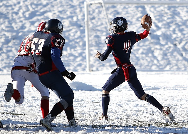 他都是球队 他都是球队