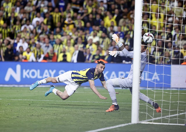 除了依赖明 除了依赖明