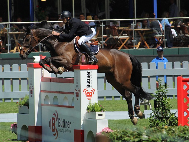 女雙比賽 女雙比賽