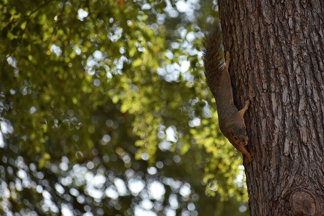 他们的加入 他们的加入