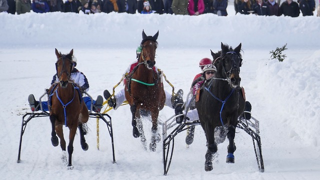 也极大地提 也极大地提
